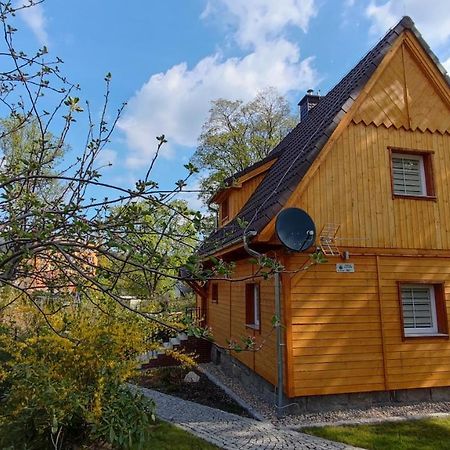 Sosnowa Chata - Dom Z Prywatna Sauna Schreiberhau Exterior foto
