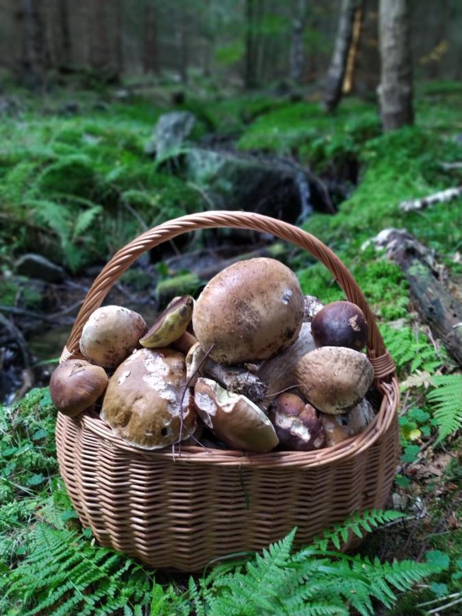 Sosnowa Chata - Dom Z Prywatna Sauna Schreiberhau Exterior foto