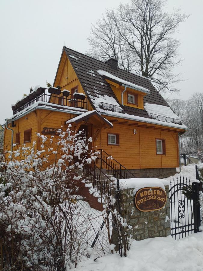 Sosnowa Chata - Dom Z Prywatna Sauna Schreiberhau Exterior foto