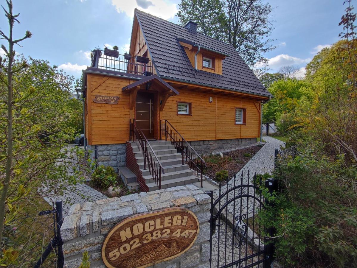 Sosnowa Chata - Dom Z Prywatna Sauna Schreiberhau Exterior foto